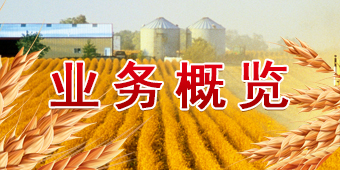 诸侯快讯·ok1133(中国区)官方网站