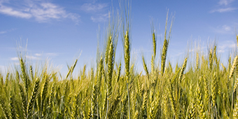 诸侯快讯·ok1133(中国区)官方网站