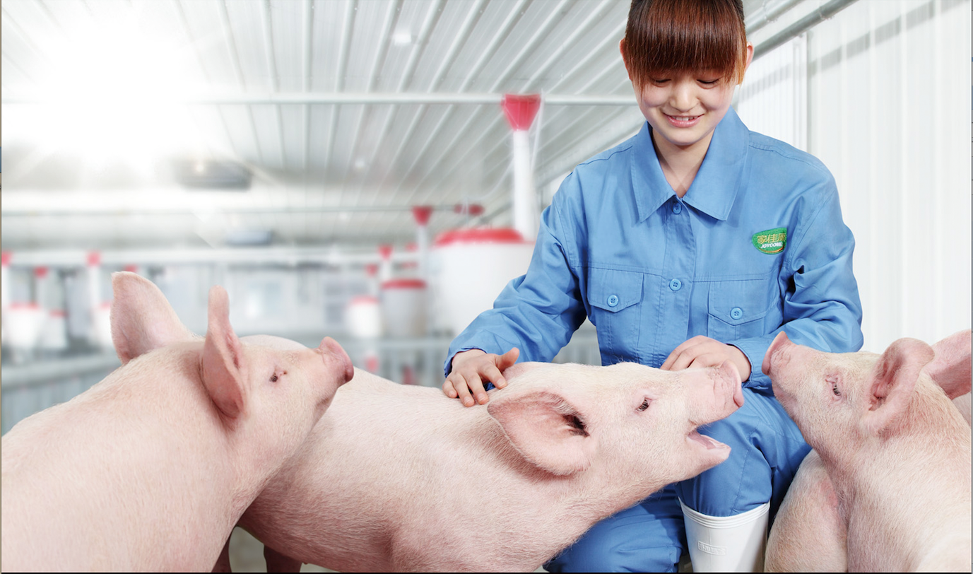 诸侯快讯·ok1133(中国区)官方网站